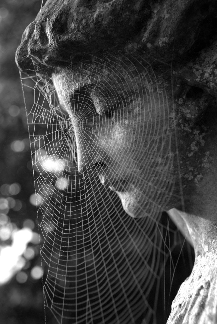 spider web on statue of woman